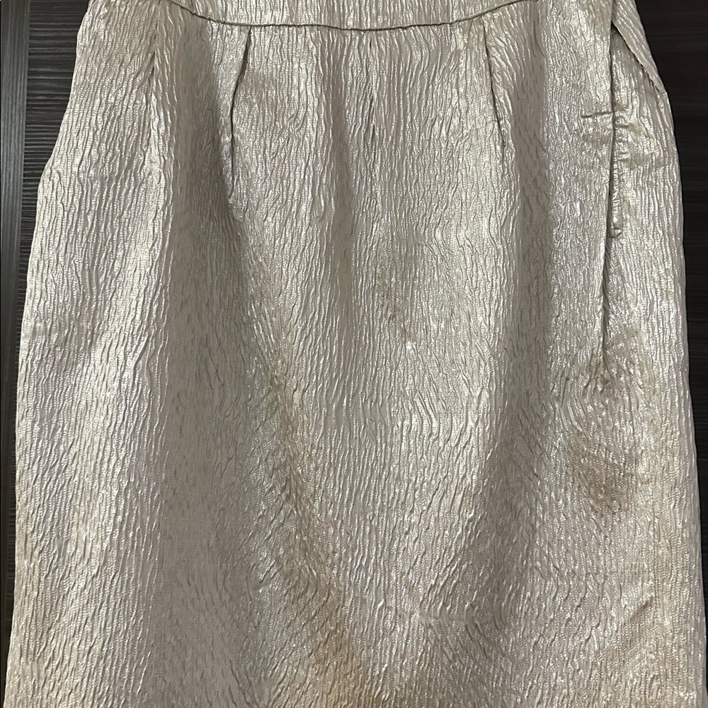 Alberta Ferretti Skirt